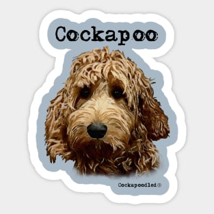 Red Cockapoo / Spoodle and Doodle Dog Sticker